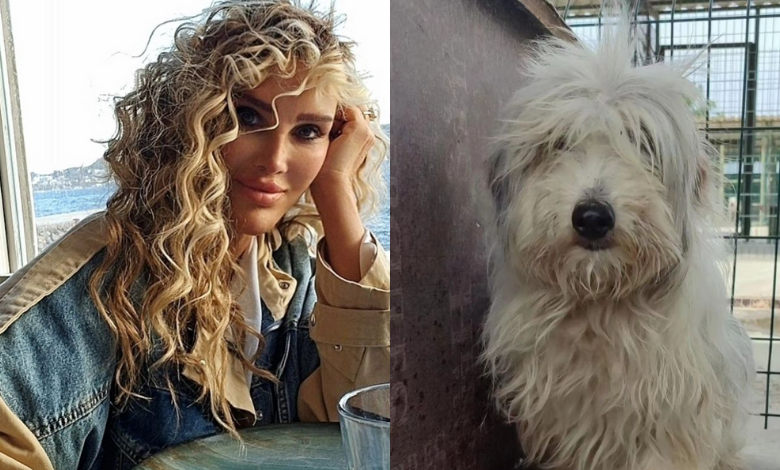 Edirne'deki can dostuna Seren Serengil el uzattı