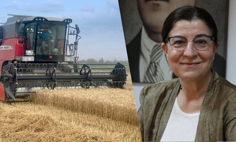 Edirne’nin vekilinden buğday fiyatı açıklaması: