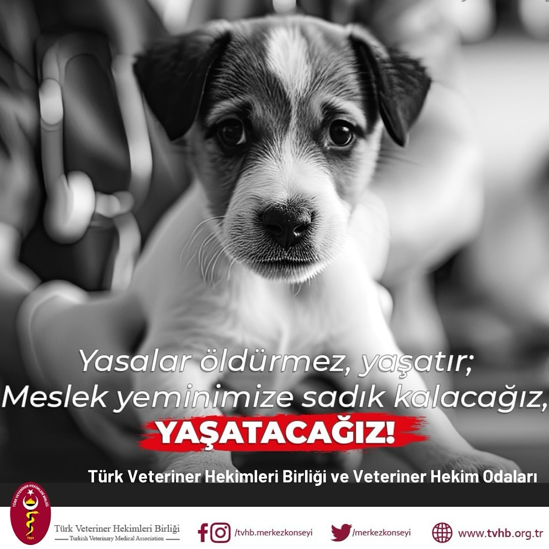 Türk Veteriner Hekimler Birliği hazırlanan yasaya karşı!