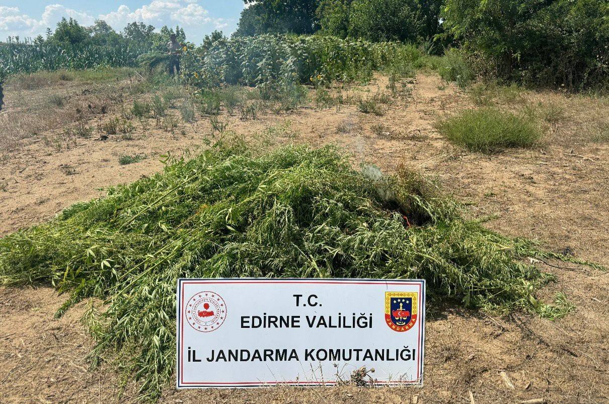 Zehir tarlası imha edildi