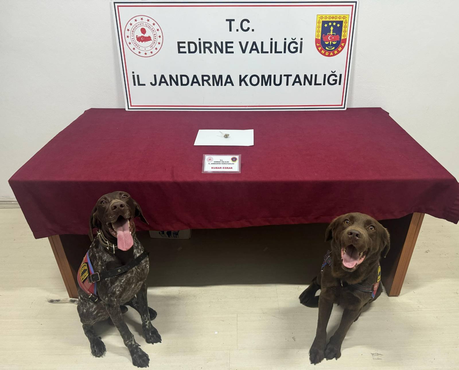 Uyuşturucuyu narkotik köpeklerinden saklayamadı