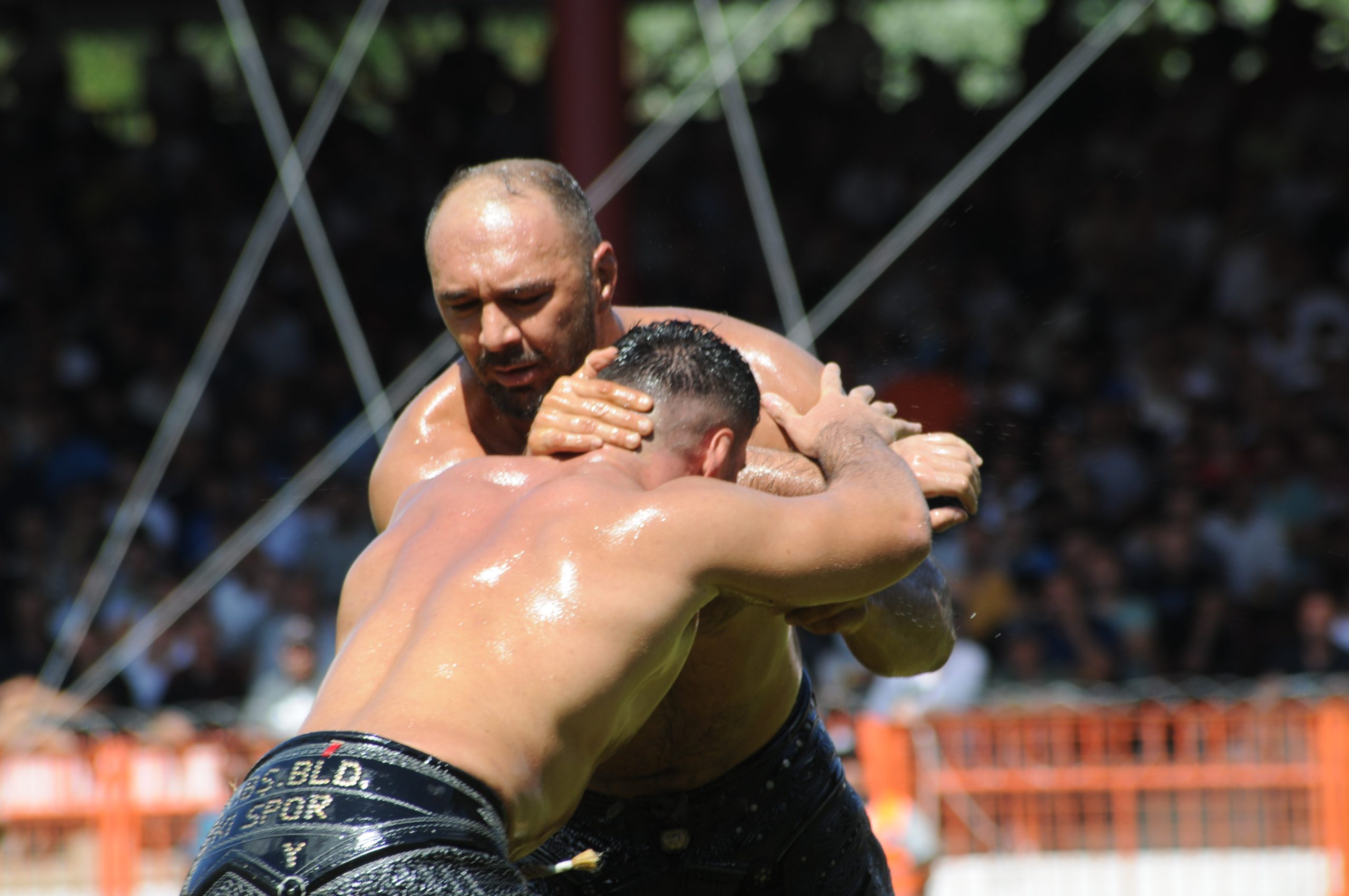 İşte 663’üncü randevunun son 16 başpehlivanı!