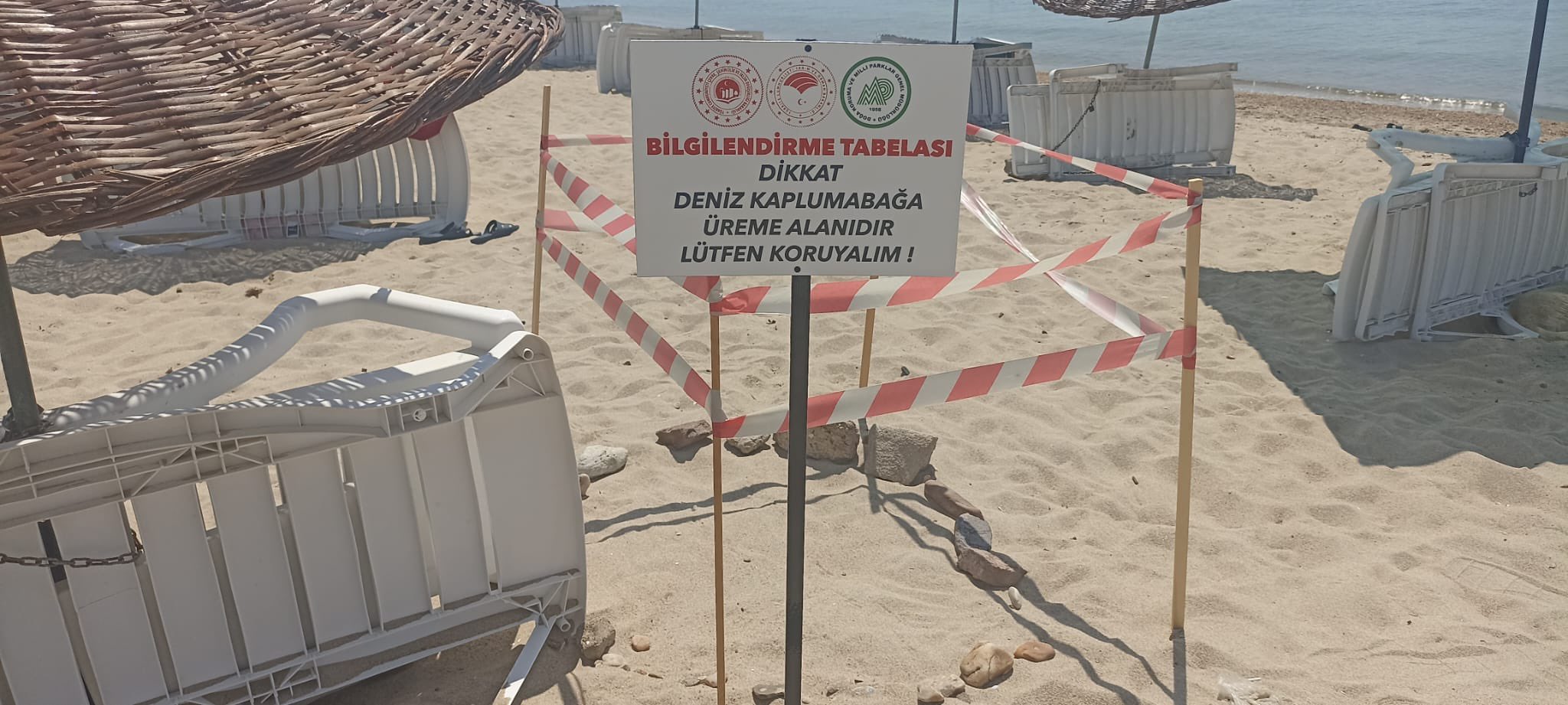 Caretta Caretta üreme alanı Kaymakamlık gözetiminde!