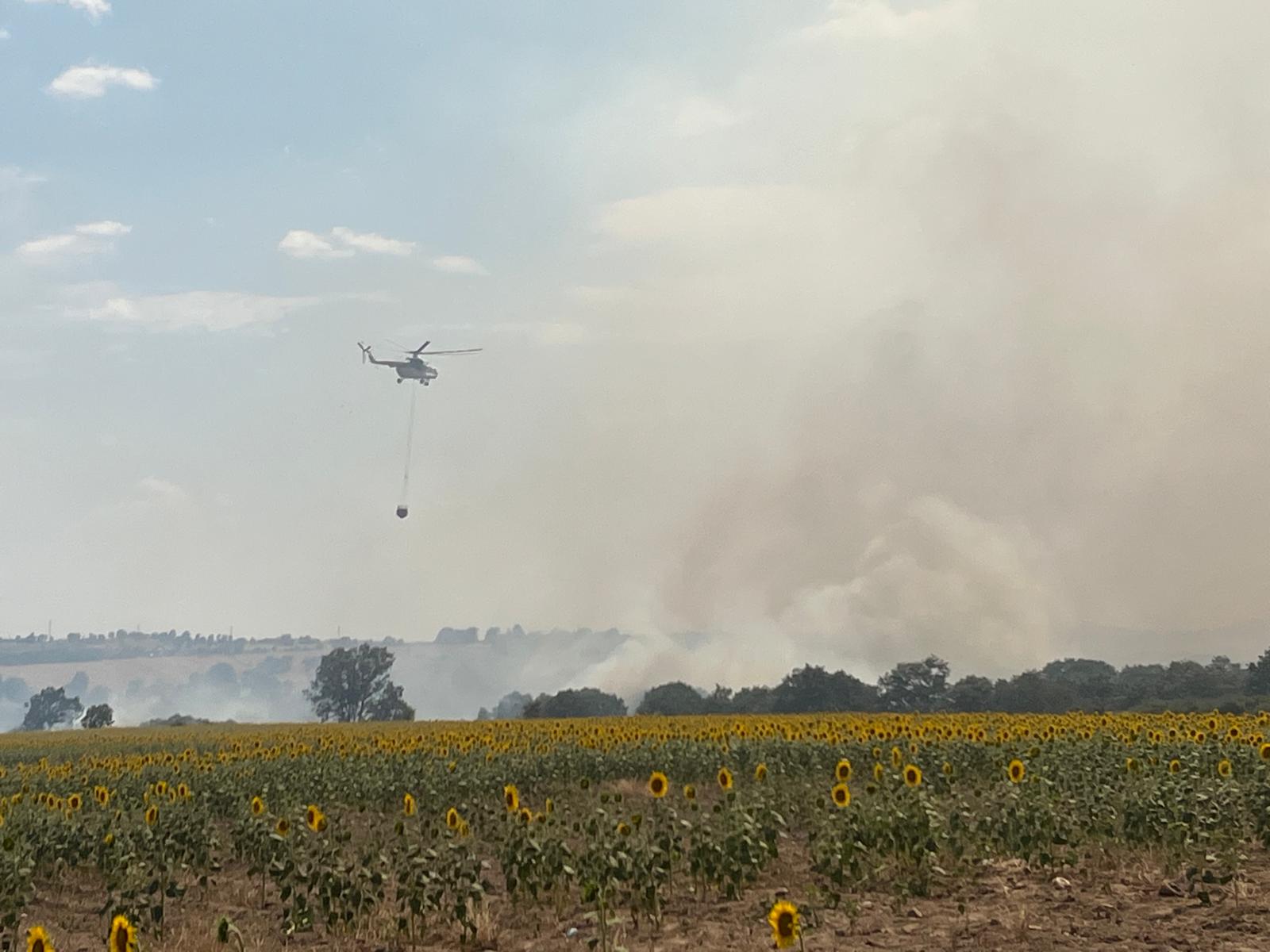Orman yangınına havadan karadan müdahale