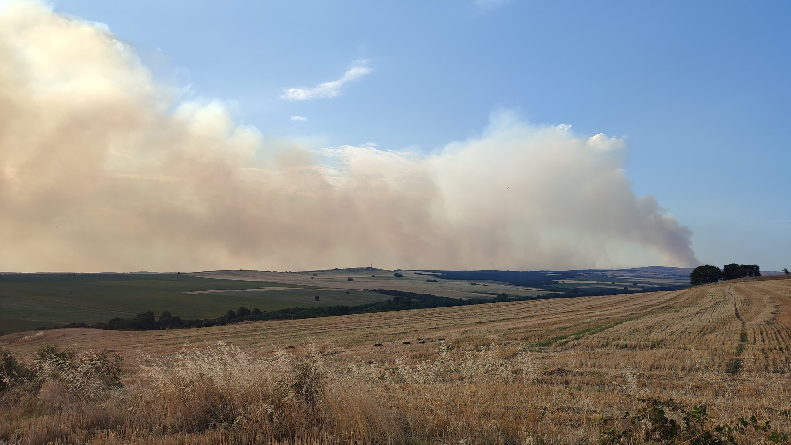 Bulgaristan sınırında korkutan yangın