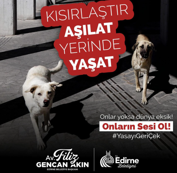 Edirne Belediyesi ve CHP’li vekilleri ile sunulan sokak hayvanları yasasına karşı!