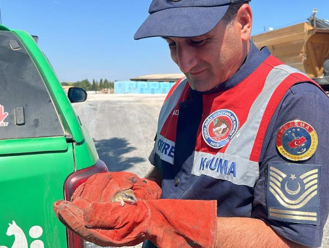Jandarma’dan yediuyur yavrusuna yardım