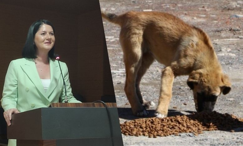 Mama fabrikası için ilk adım