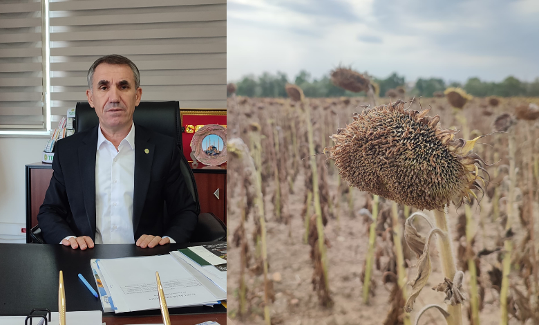 Ürünü kuruyan çiftçinin gözü kuraklık desteğinde