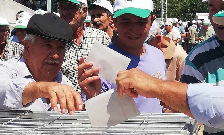 Alpullu pancarda şeker tadında seçim