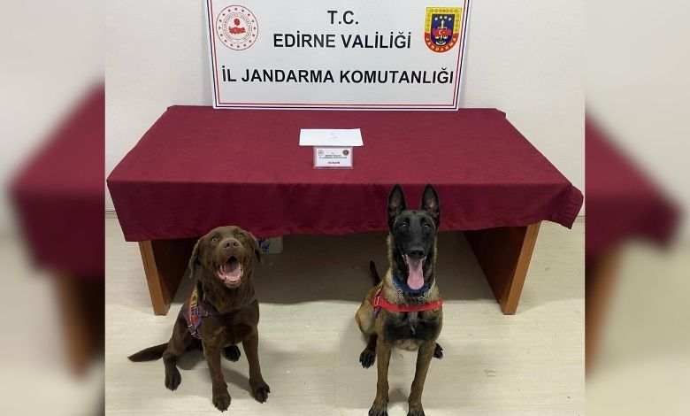 Araçtaki uyuşturucuyu Etik ve Yama'dan saklayamadı