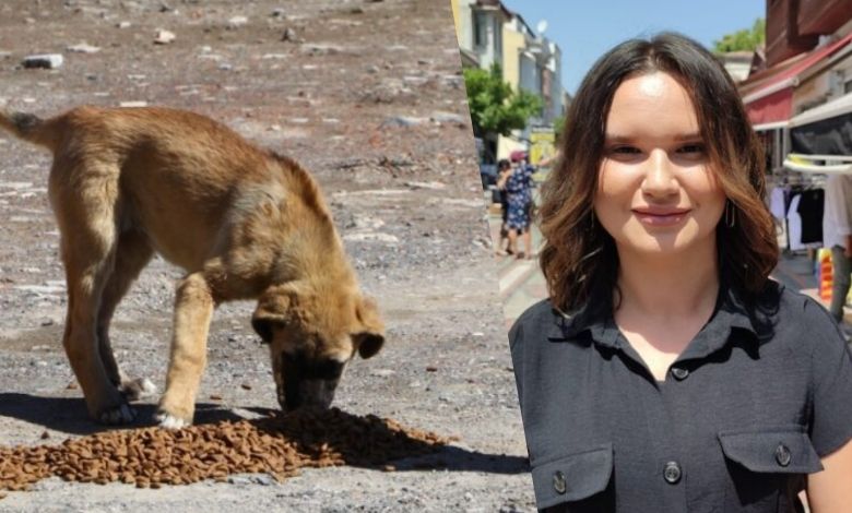‘Hayvanları makam odalarında mı ağırlayacaklar?’