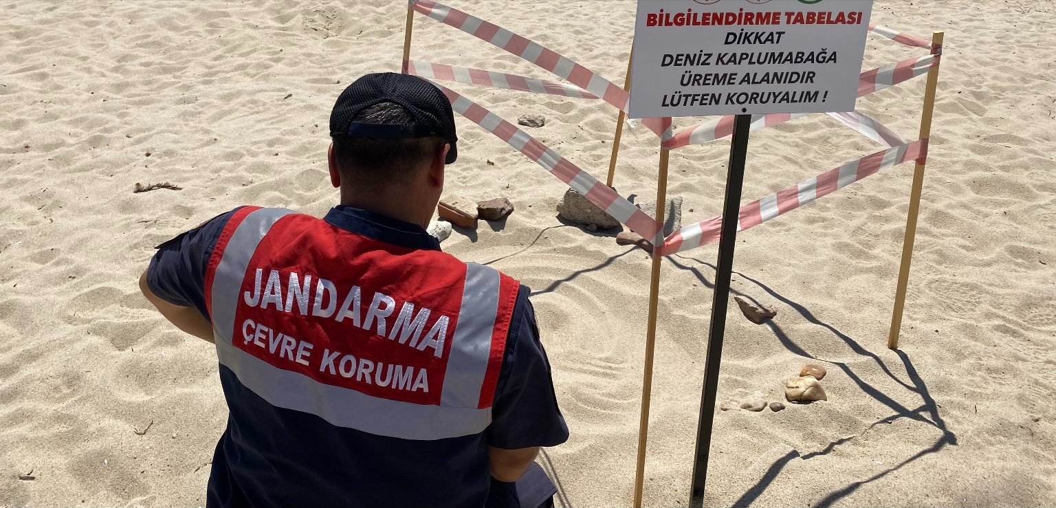 Caretta Caretta'nın üreme evresi jandarma gözetiminde