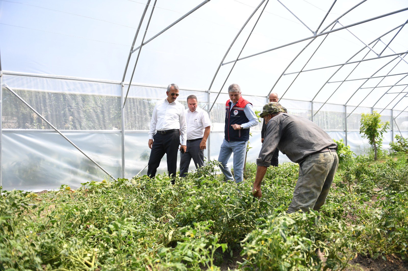 Vali Sezer: 'Hedefimiz 500 dönüm kapalı sera'