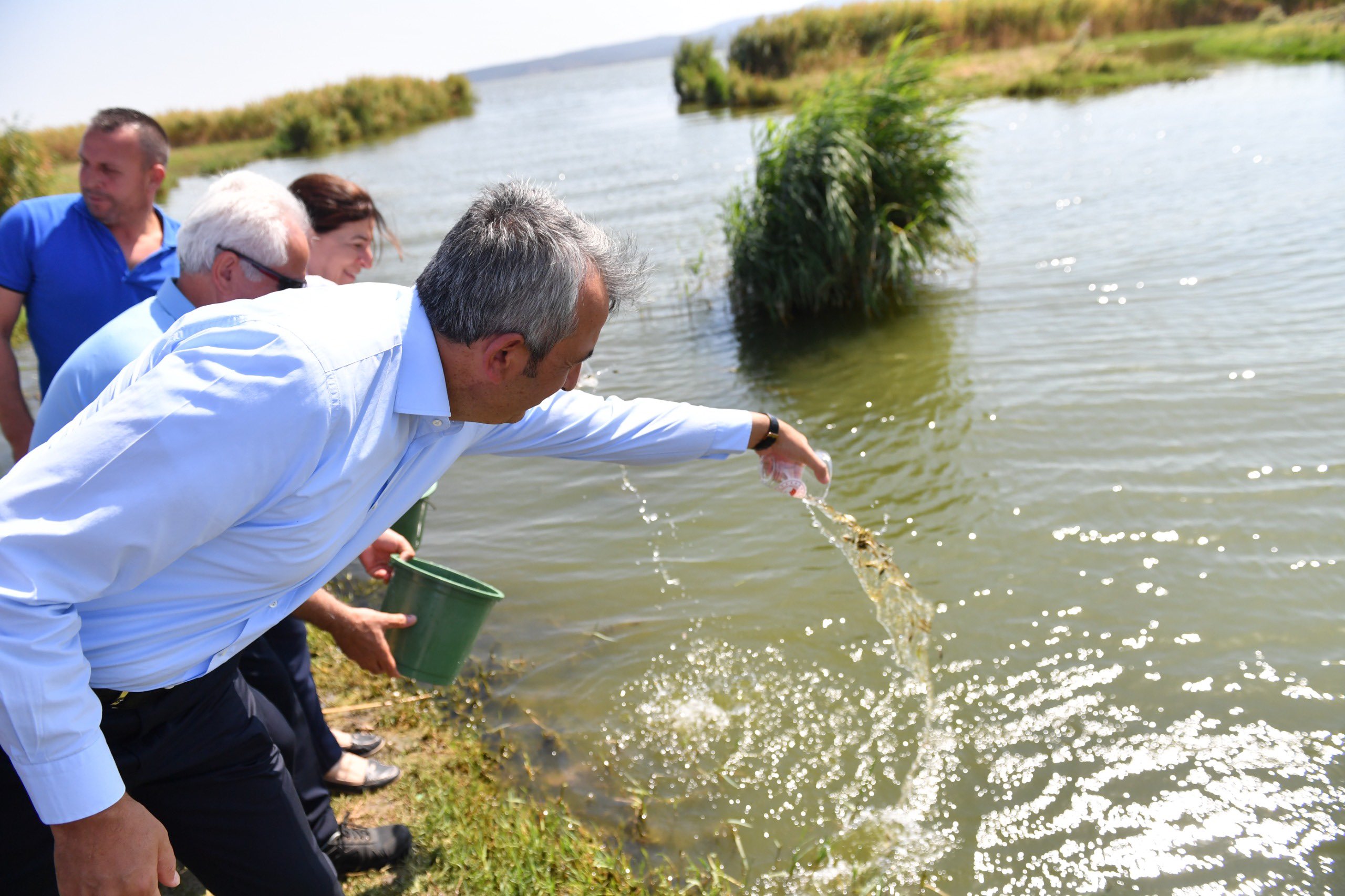 Üretilen 10 milyon sazan balığı sulara bırakıldı