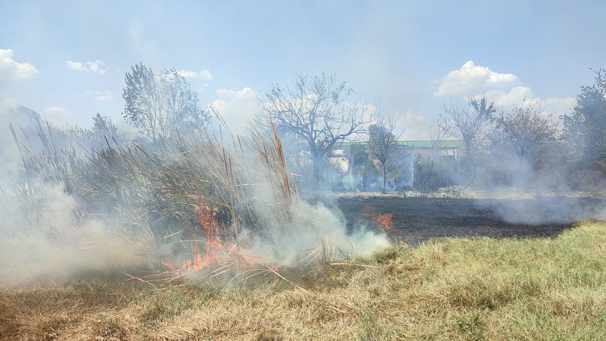 Otogarı tehdit eden yangın!