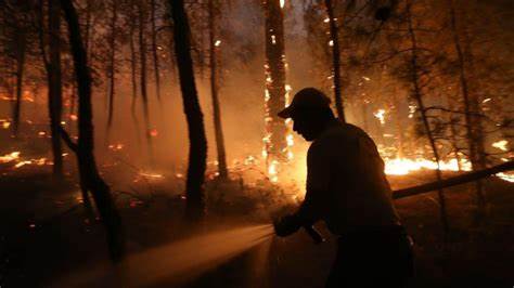 Orman yangınlarında geçen yıla göre artış