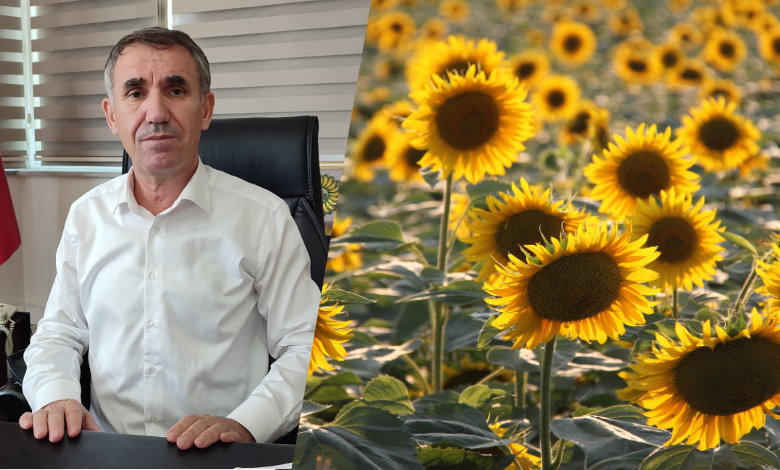 ‘İthalat tarife kontenjanı ayçiçeği piyasasını rahatlatır’