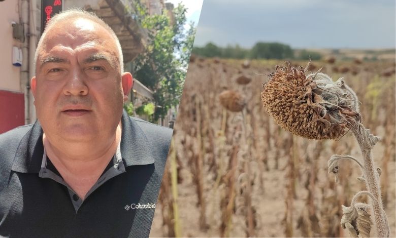 ‘Ayçiçeğinde tehlike çanları bile patladı gitti’