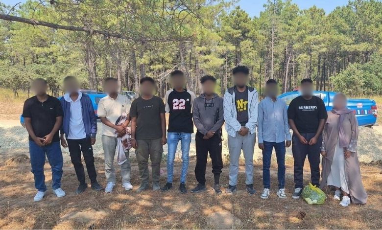 Sultaniçe ve Söğütlüdere'de göçmen avı