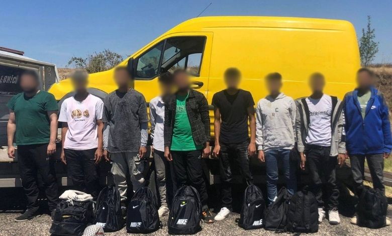 Avarız ve Budakdoğanca'da göçmen avı