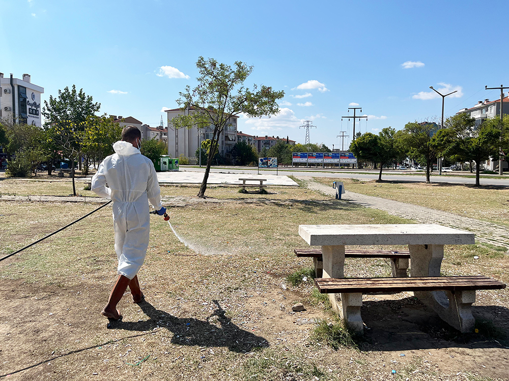 Belediyeden haşere mücadelesi