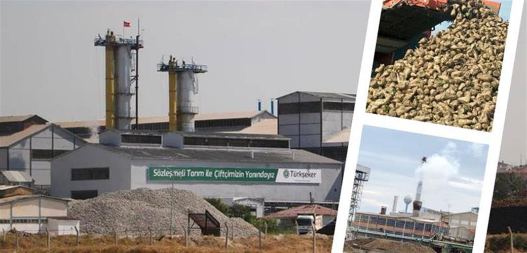 Şeker pancarı alım fiyatı belli oldu