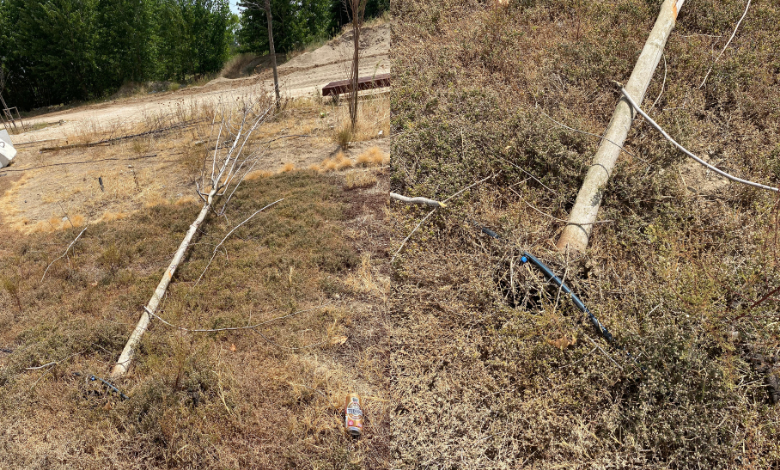 Hata; 'Millet Bahçesi'nde fidanlar bakımsızlıktan kurudu'