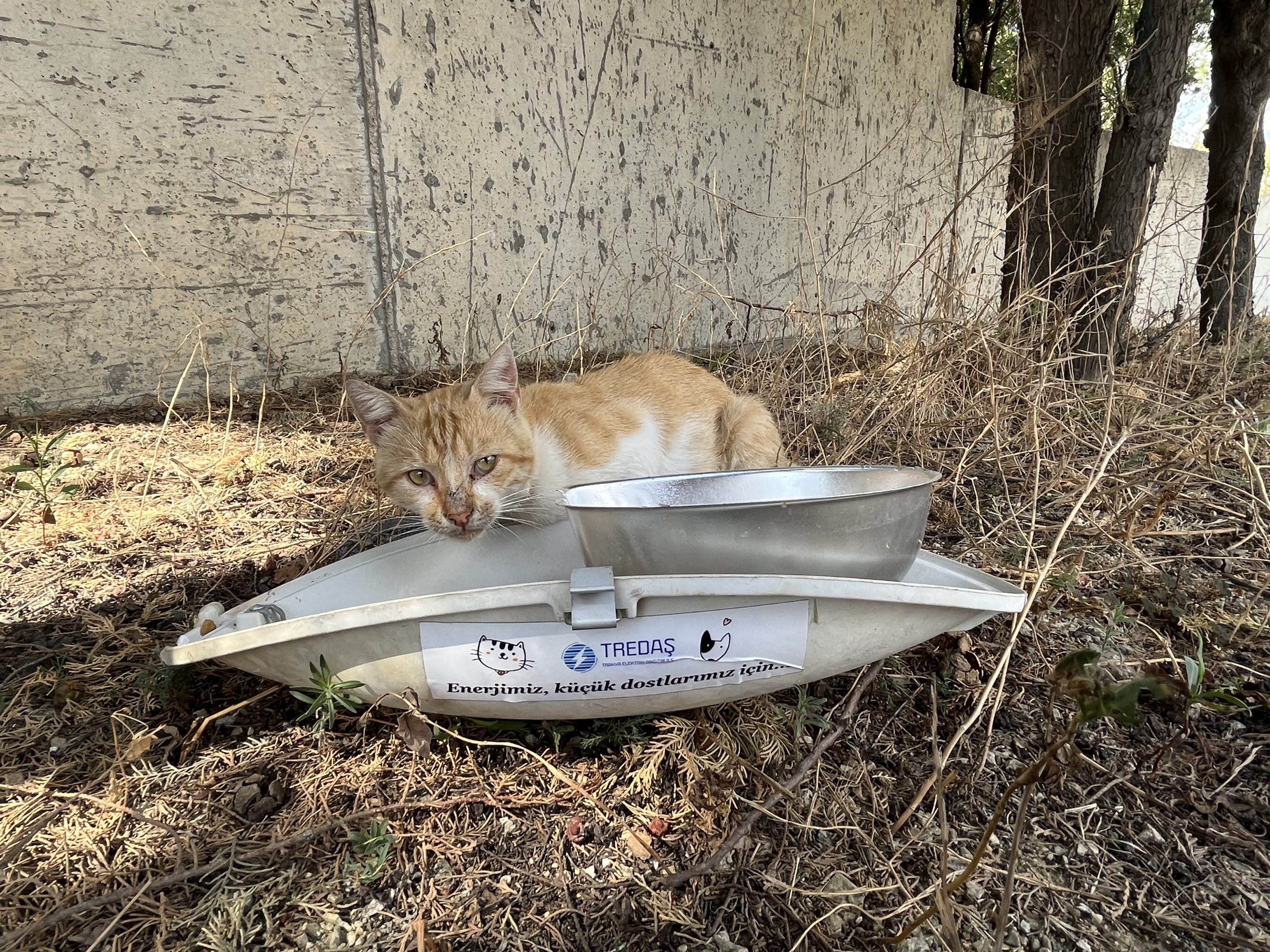 TREDAŞ'tan hayvanların korunmasına özel destek