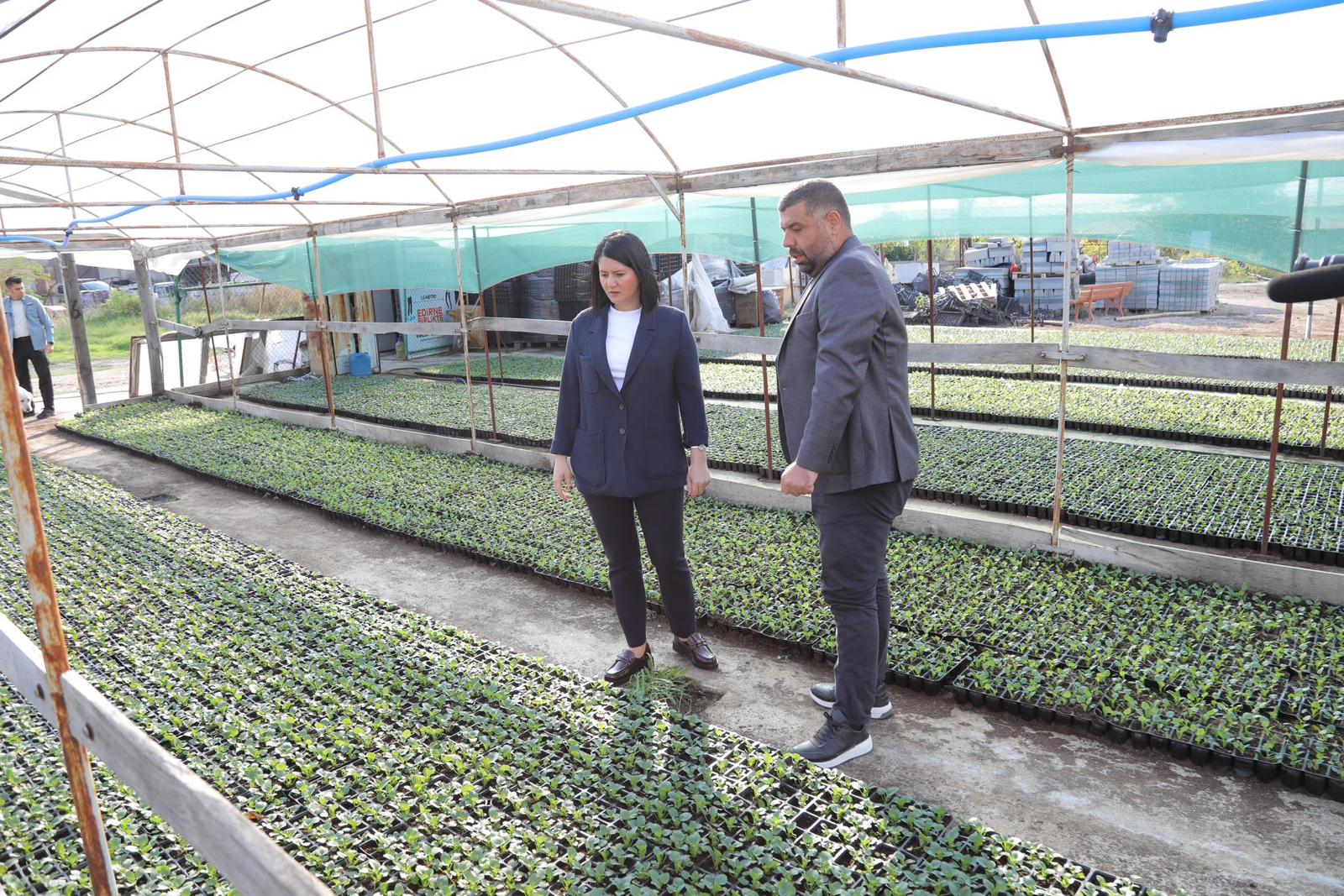 Kent peyzajına 300 bin menekşe