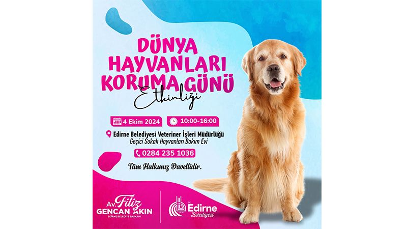 Belediyeden 'Dünya Hayvanları Koruma Günü' kutlama etkinlikleri