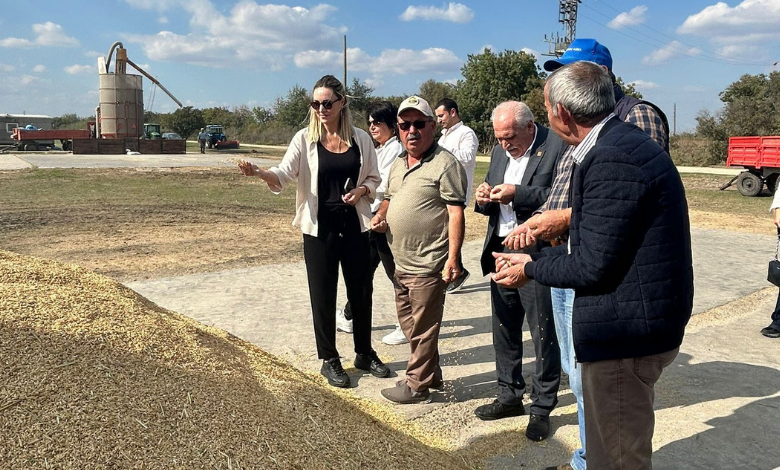 Taybıllı; 'Çeltik üreticisi vurgun yemiş gibi'