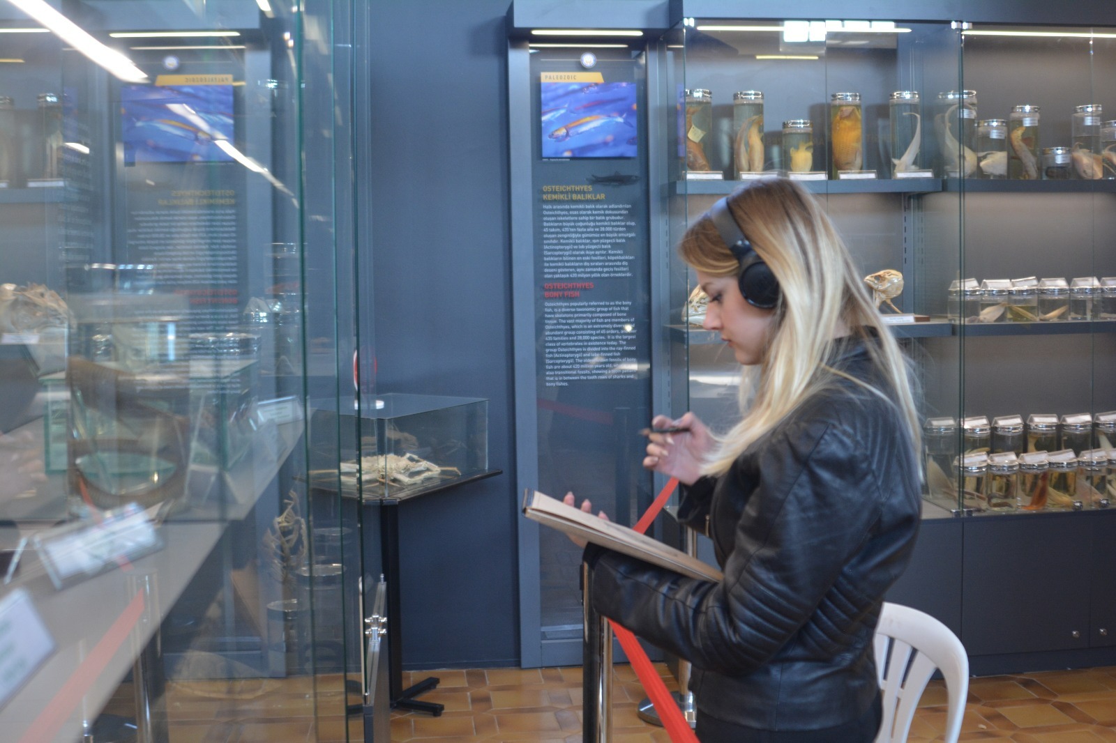 Doğa Tarihi Müzesi'nde desen eğitimi