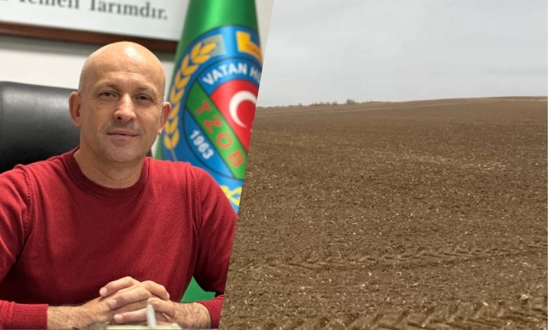 Üretici kuru toprağa ekti, gözler yağmurda!