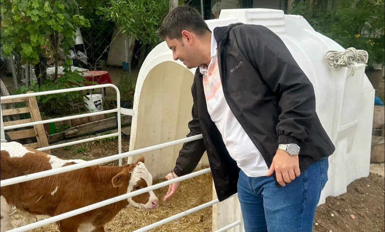 Ilgın; 'Hayvan ithalatında Şampiyonlar Ligi'ndeyiz'
