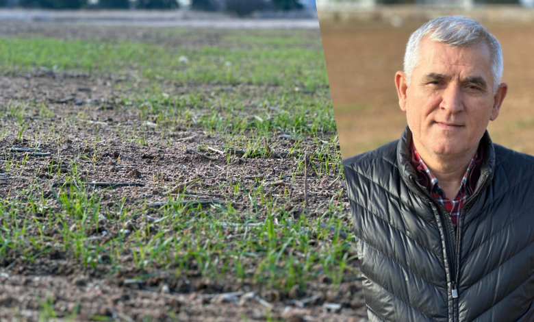 Trakya çiftçisinin ‘kar’ özlemi