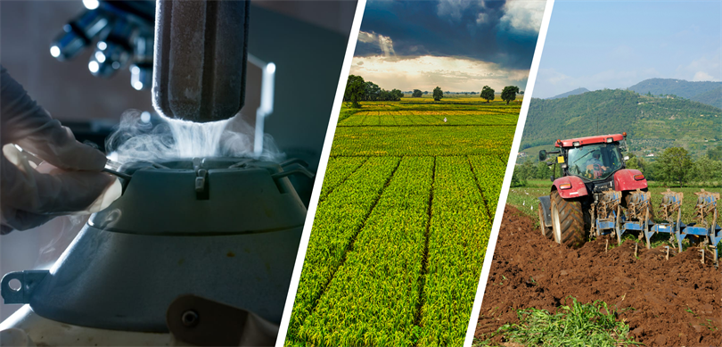 Destekleme ödemeleri çiftçilerin hesaplarında!