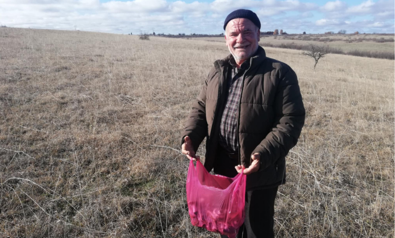 Trakya’da mantar avcıları iş başında