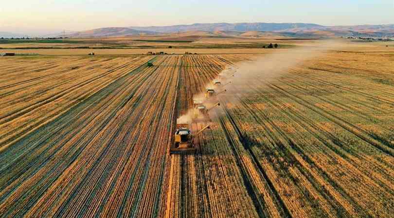 Çiftçilere 1,4 milyar TL destek ödemesi