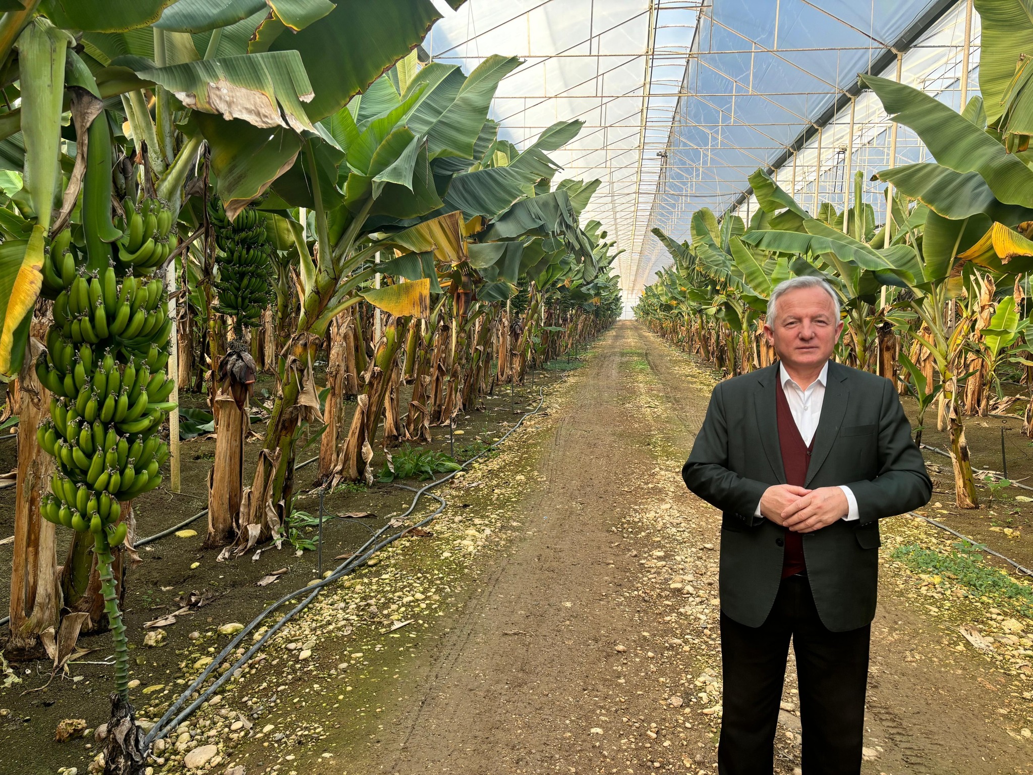 Kerman'dan İpsala'da 'muz' projesi