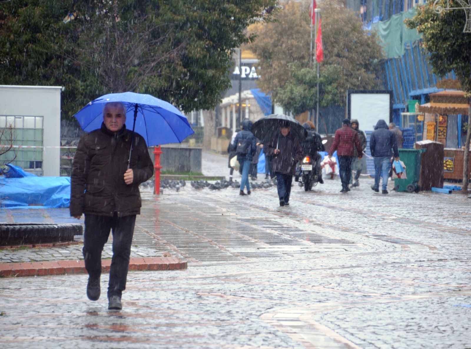 Edirne'de yılın ilk kar yağışı kendini gösterdi