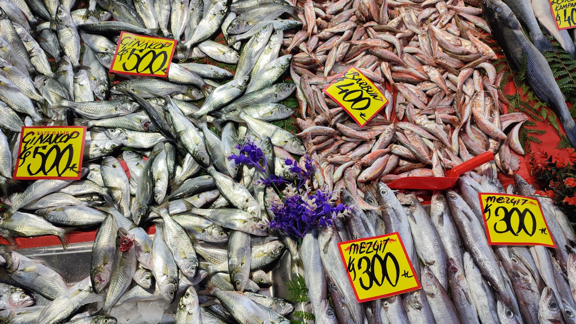 Balıkta çeşit de yüksek, fiyat da