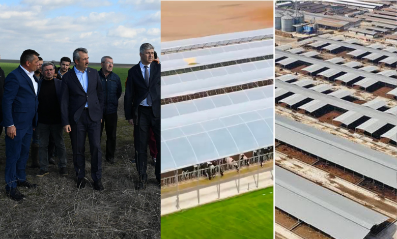 Ari Damızlık Düve Üretim Merkezi için ilk adımlar