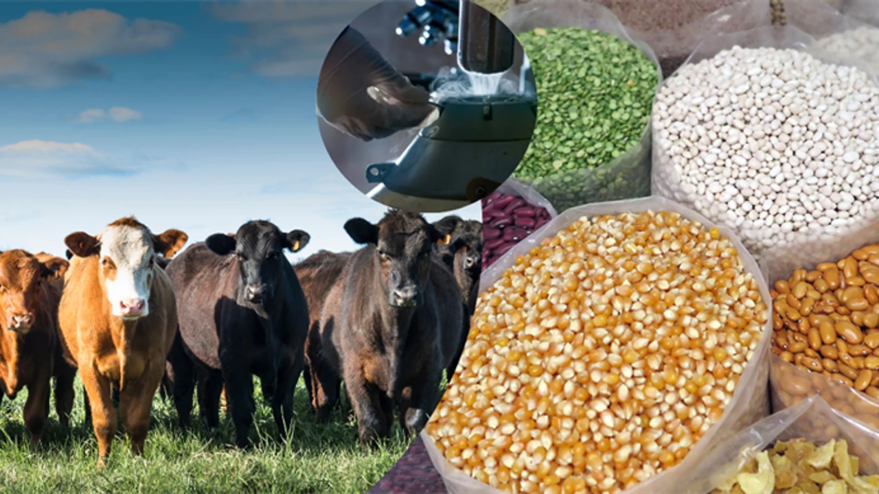 Tarımsal destekleme ödemeleri çiftçilerin hesaplarında