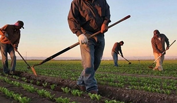 Çiftçilere destek ödemesi bugün yatırılacak