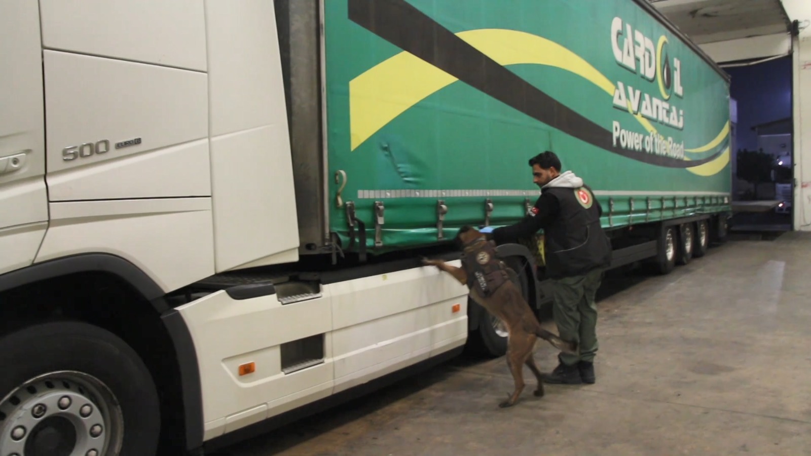 Narkotik köpeği ‘Cash’ten uyuşturucu avı