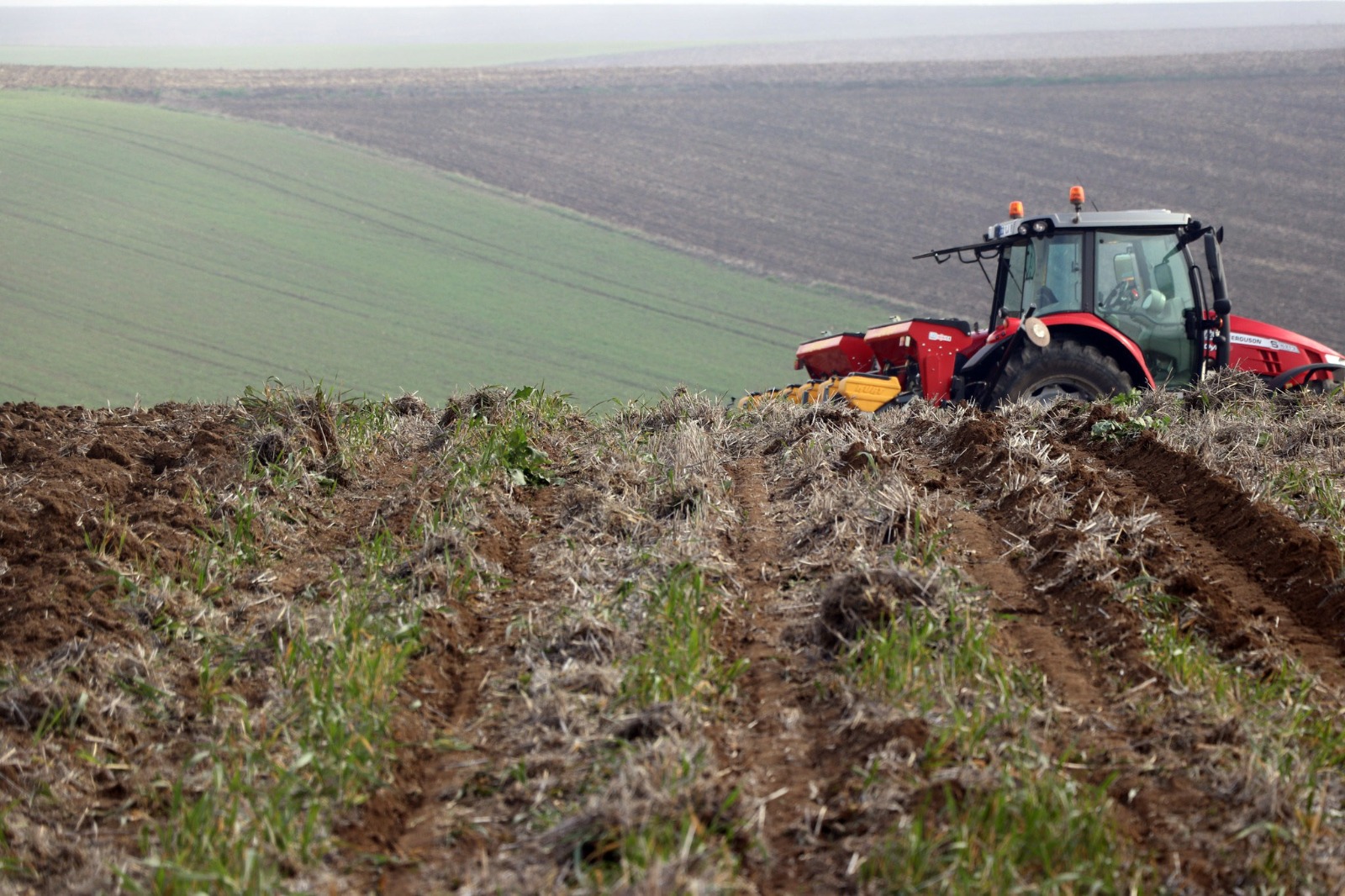 Ayçiçeğini kuraklıktan kurtarmak için kollar sıvandı