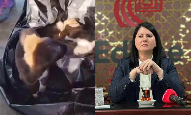 Hayvan barınağında 'vazife bilinci' kriteri