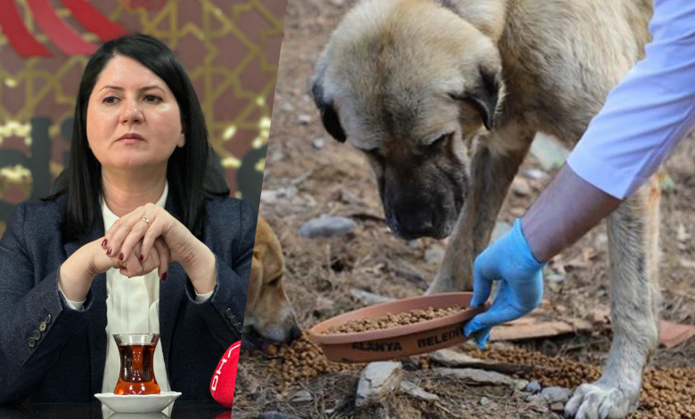 ‘Doğal yaşam alanıyla can dostlarını koruyacağız’