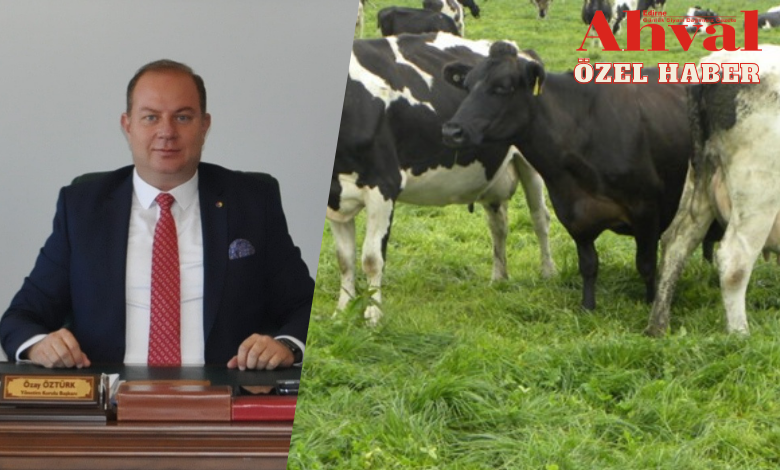 ‘Edirne, Türkiye’nin ihtiyacını karşılamaya aday’